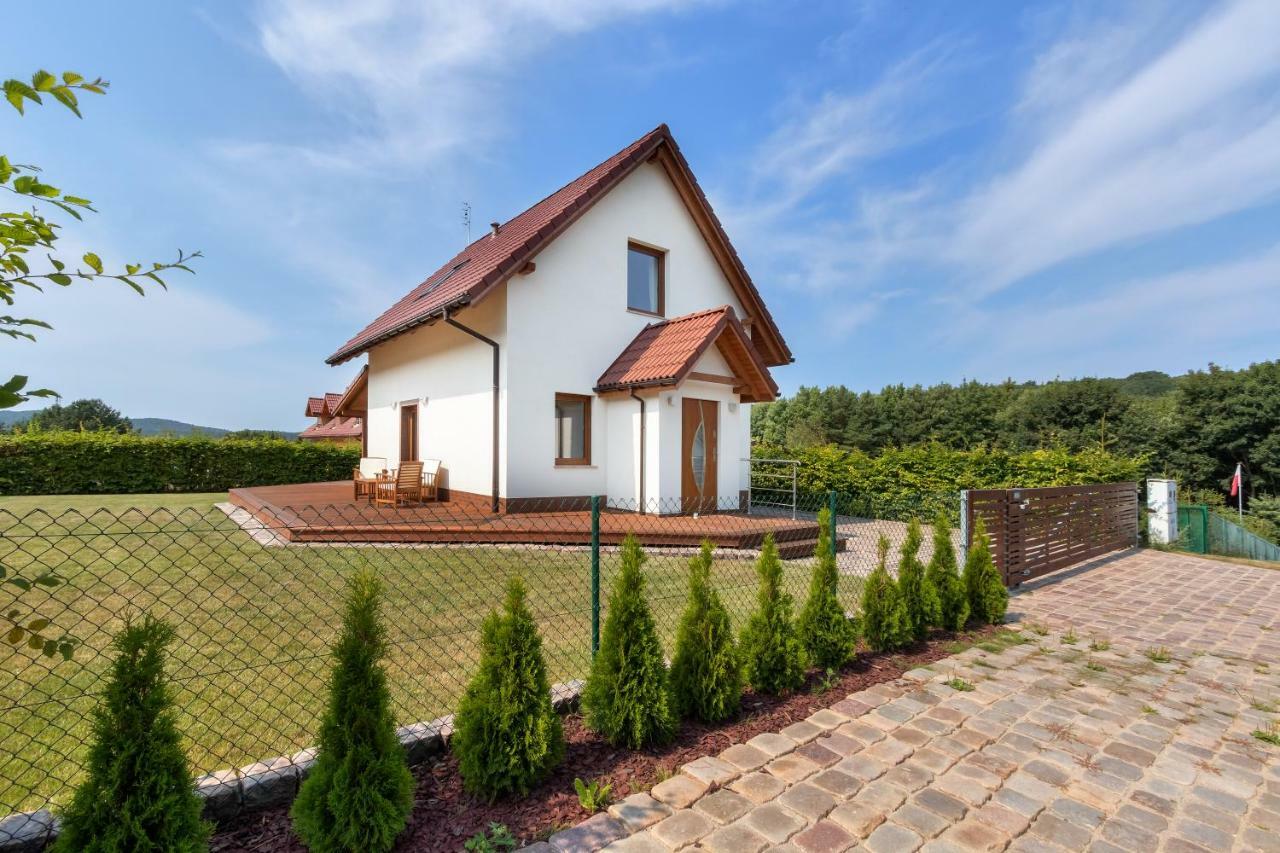 Amber House Βίλα Wisełka Εξωτερικό φωτογραφία