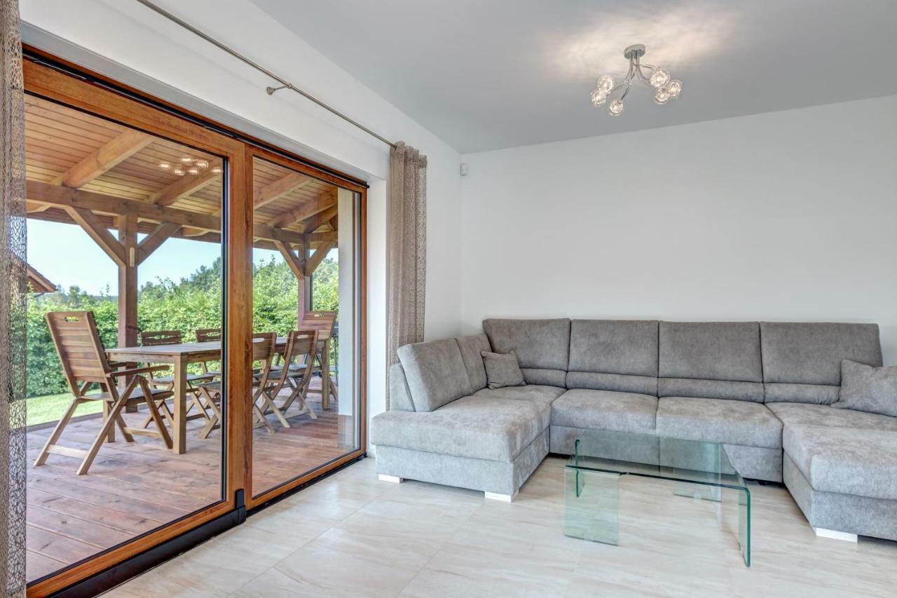 Amber House Βίλα Wisełka Εξωτερικό φωτογραφία