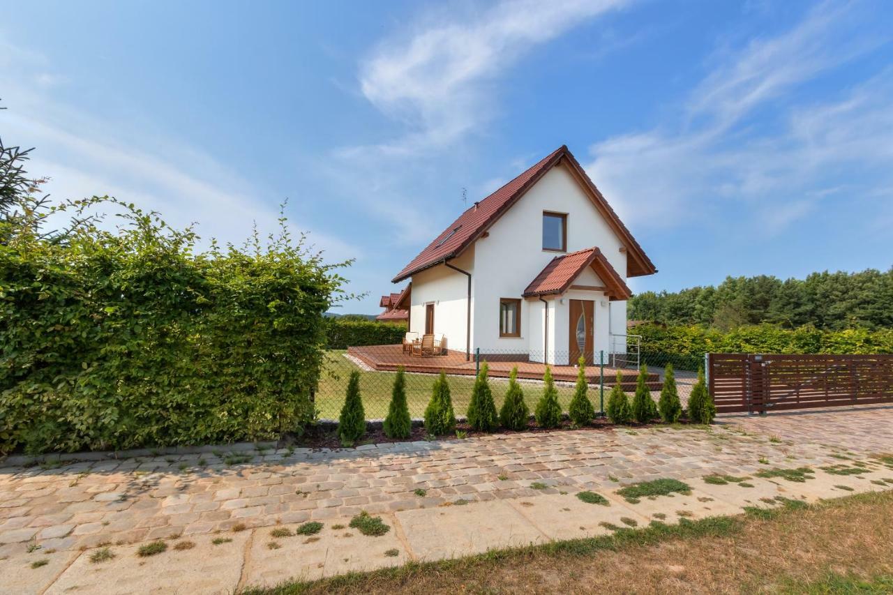 Amber House Βίλα Wisełka Εξωτερικό φωτογραφία